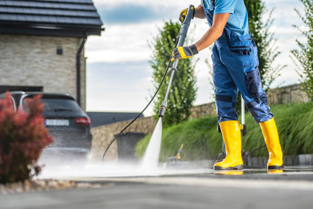 Best Driveway Pressure Washing  in Roxboro, NC
